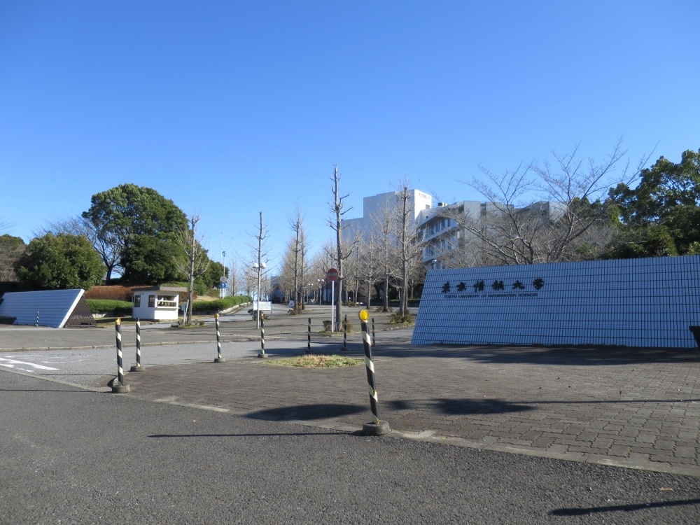 大学・短大　東京情報大学（大学・短大）まで2293m