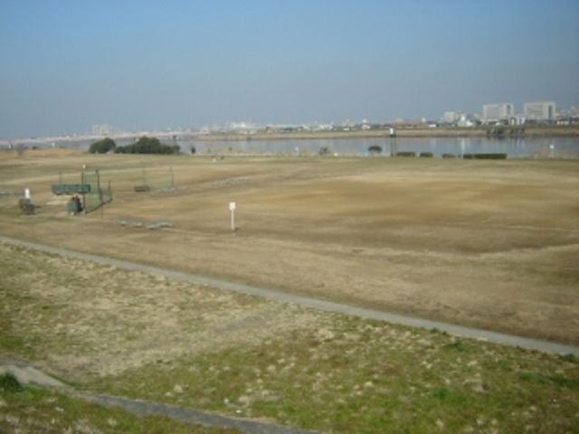 公園　江戸川河川敷緑地（公園）まで516m