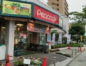 東急田園都市線 桜新町駅 徒歩5分 4階建 築4年の周辺写真