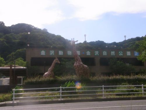ツインハイツ能見台2の周辺写真