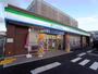 コンビニ　ファミリーマート東大阪加納店（コンビニ）まで389m