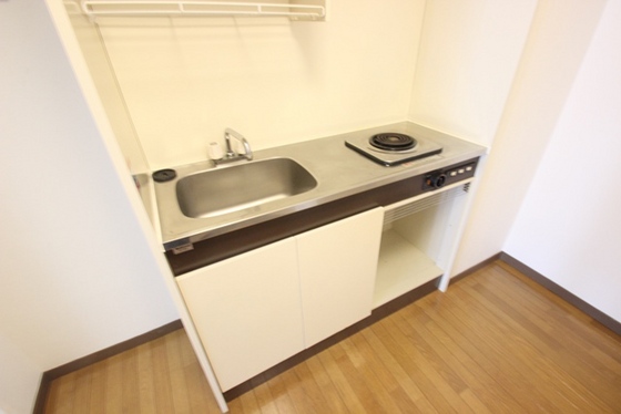 キッチン　※別号室の写真です。