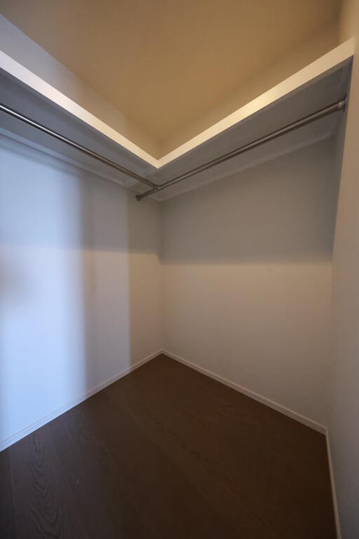 収納　ウォークインクローゼット