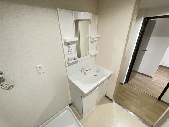 洗面設備　※別号室の写真です