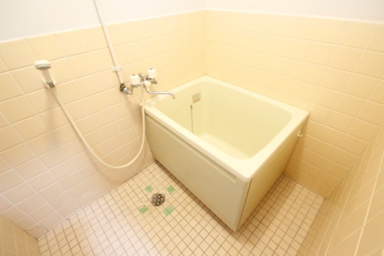 バス・シャワールーム　※別部屋の写真です