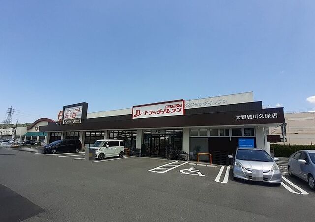 ドラックストア　ドラックイレブン（ドラッグストア）まで750m