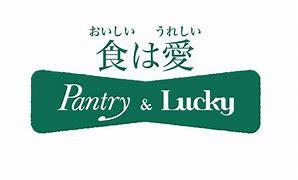 スーパー　パントリーアルデ新大阪店（スーパー）まで214m