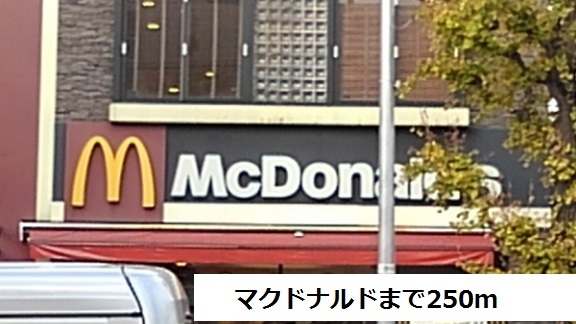 飲食店　マクドナルド（飲食店）まで250m