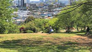 公園　日吉公園（公園）まで502m