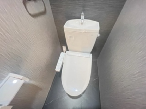 トイレ　※別部屋の写真です