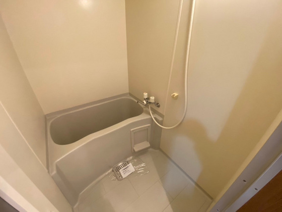 バス・シャワールーム　※別部屋の写真です