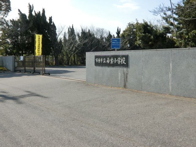 小学校　若葉小学校（小学校）まで647m