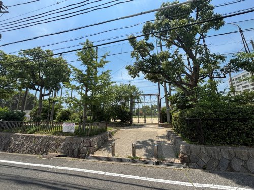 公園　大和公園（公園）まで571m
