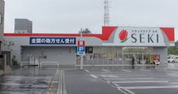 ドラックストア　ドラッグストアセキ新宿町店（ドラッグストア）まで256m