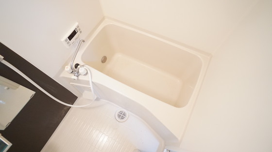 バス・シャワールーム　※別号室のお写真となります※現況優先