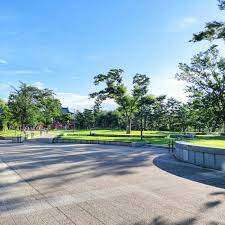公園　岡崎公園（公園）まで648m