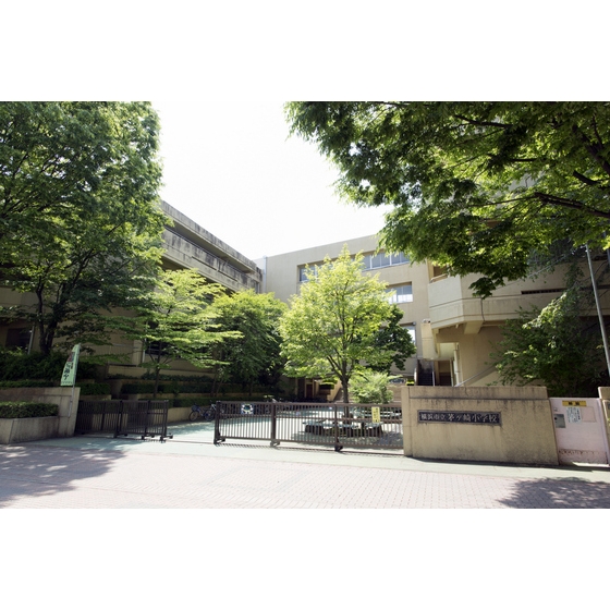 小学校　市立茅ヶ崎小学校（小学校）まで700m
