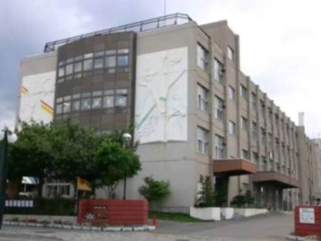 小学校　札幌市立発寒小学校（小学校）まで522m