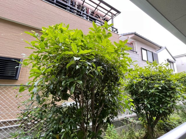 眺望　別号室の画像です。ご参考下さい