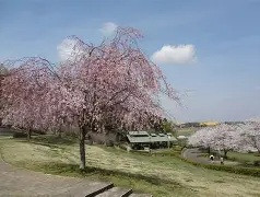 公園　宮山ふるさとふれあい公園（公園）まで740m