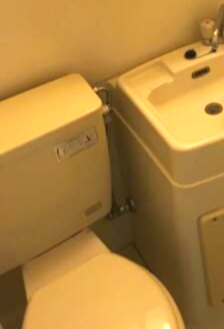 トイレ　トイレです