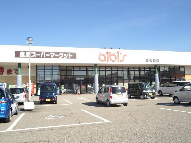 スーパー　アルビス（スーパー）まで1100m