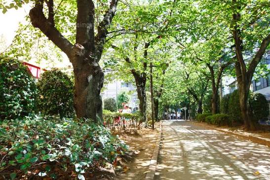 公園　亀戸緑道公園（公園）まで620m
