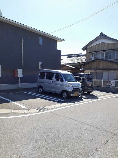 ハイビスカスのその他写真