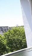 IVY GARDENのその他写真