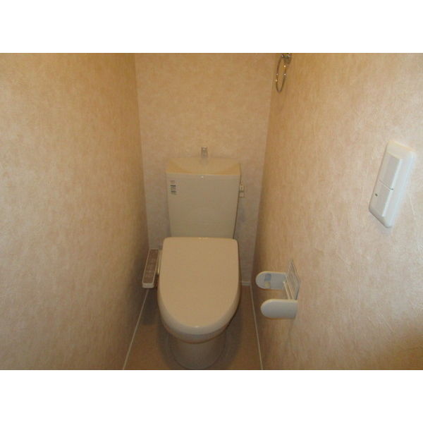 プラムツリーB棟のトイレ写真
