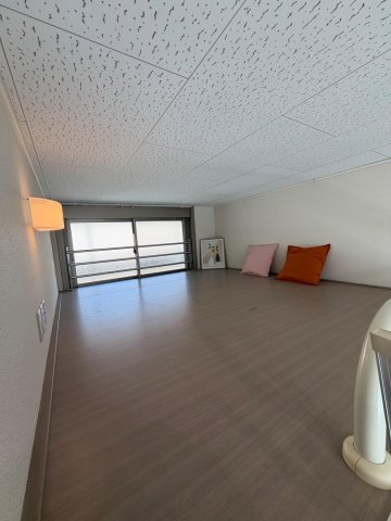 その他　ロフトそこそこ広いです。