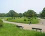 公園　篠崎公園（公園）まで1639m