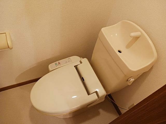 エステート・レイIのトイレ写真