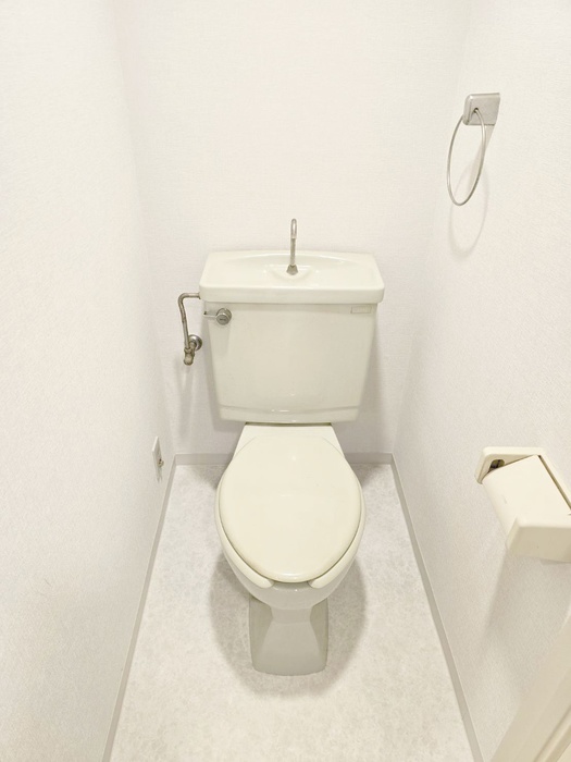 パピヨン行徳のトイレ写真