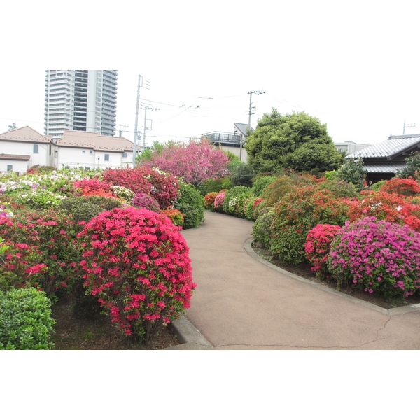 【田中邸の公園】