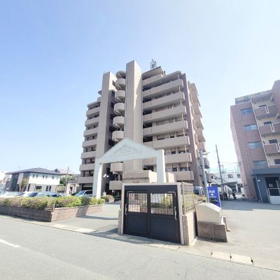 熊本市南区田井島のマンションの建物外観