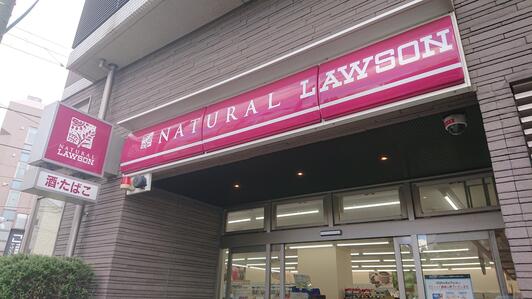 コンビニ　ナチュラルローソン目黒八雲五丁目店（コンビニ）まで533m