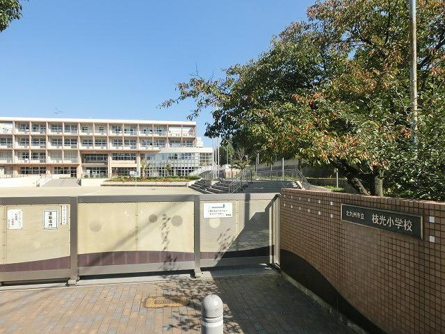 小学校　枝光小学校（小学校）まで320m
