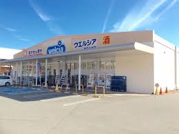 ドラックストア　ウエルシア神戸大池店（ドラッグストア）まで993m