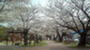 公園　山王公園（公園）まで187m