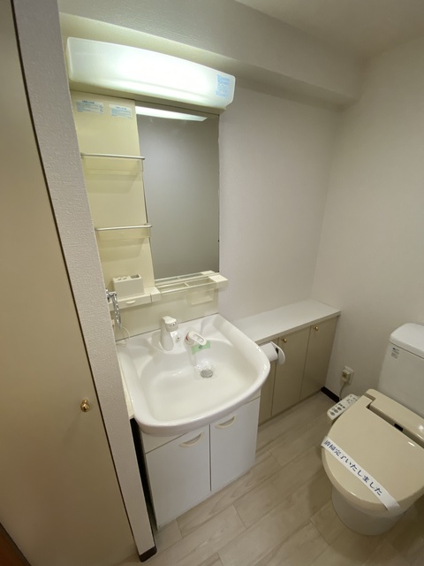 洗面設備　準備が捗る独立タイプ。