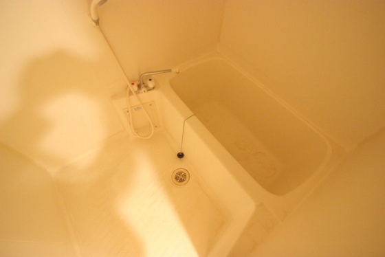 バス・シャワールーム　※別号室の写真です