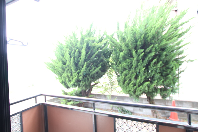 眺望　バルコニーからの景色です♪