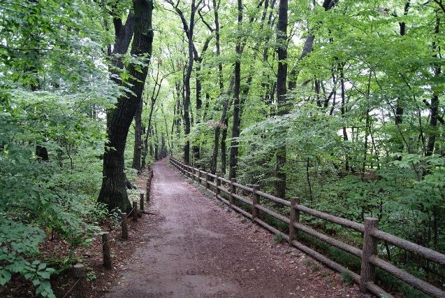 公園　玉川上水緑道（公園）まで642m