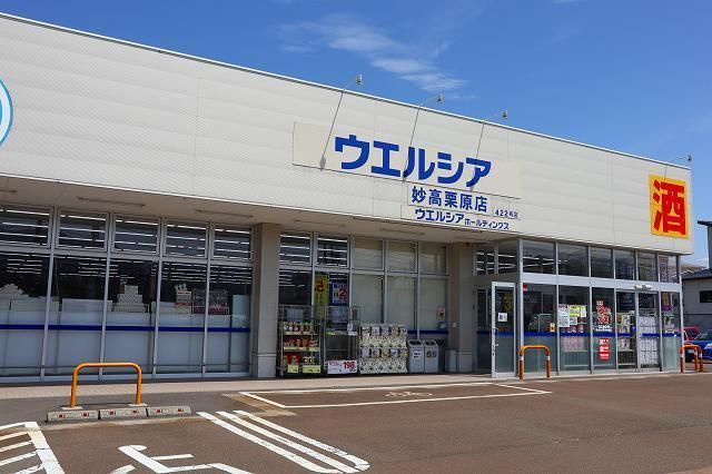 【妙高市柳井田町のアパートのドラックストア】