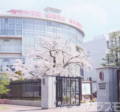 高校・高専　梅花高等学校（高校・高専）まで65m