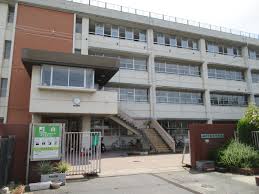 中学校　柏原市立玉手中学校（中学校）まで239m
