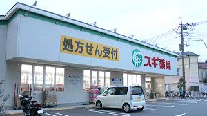 ドラックストア　スギ薬局南六郷店（ドラッグストア）まで578m
