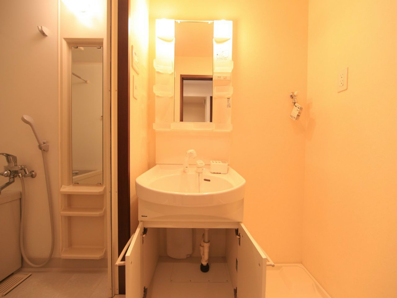 洗面設備　脱衣所　独立洗面台（シャンプードレッサー付）収納スペース有