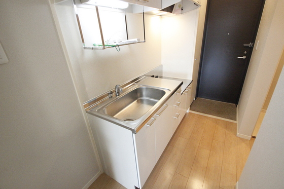 キッチン　写真は別号室です。